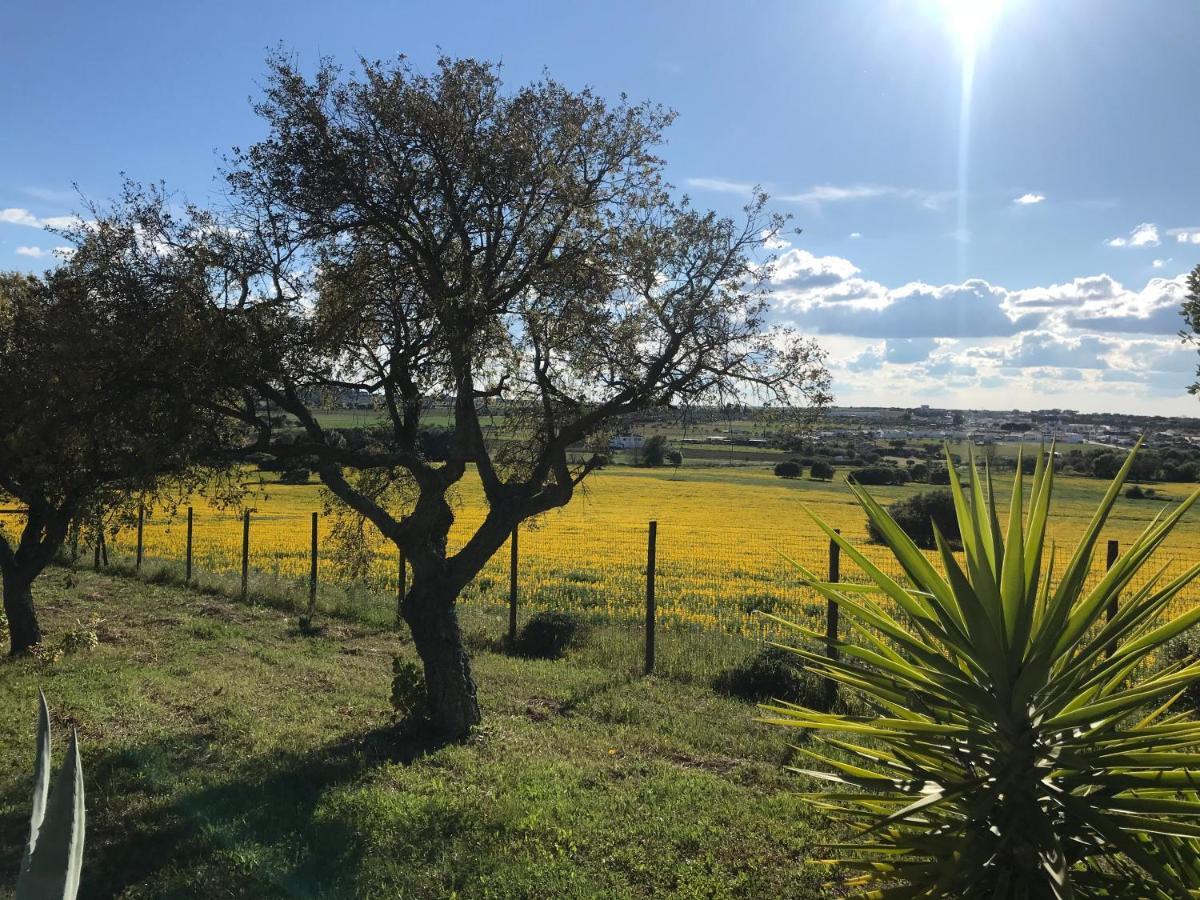 Quinta Da Colina Holiday home *